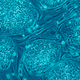 Human embryonic stem cells. Image: Wikimedia